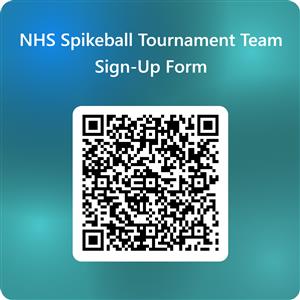 Spikeball